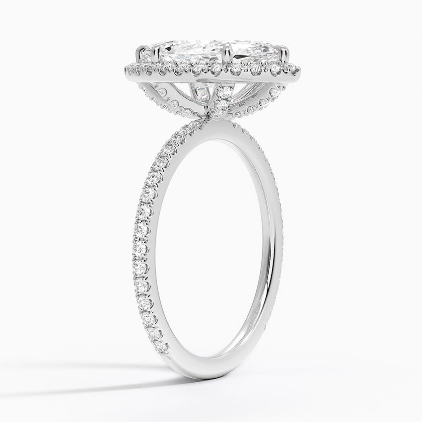 Marquise
