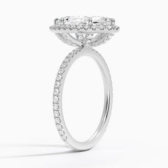 Marquise